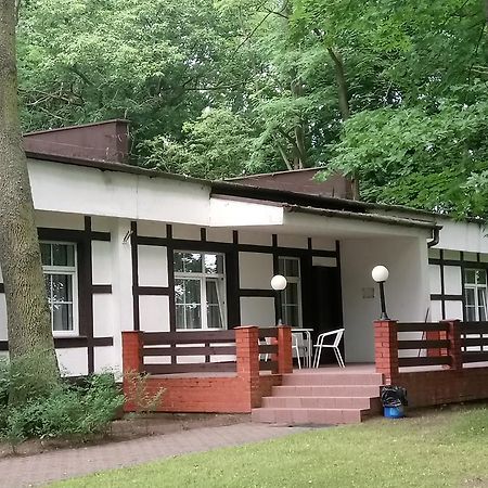 Hostel Dworek Osiecki Koral Osieki  Екстер'єр фото